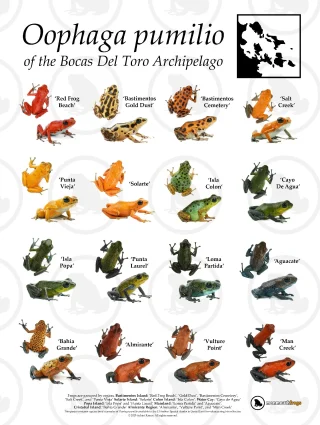 Instagram post from monmouthfrogs. This post is in position 5.